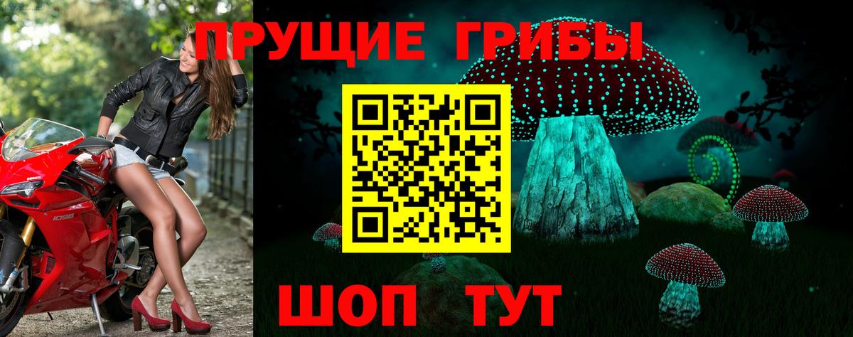 Зеленокумск  Псилоцибиновые грибы мухоморы  Вход с VPN 